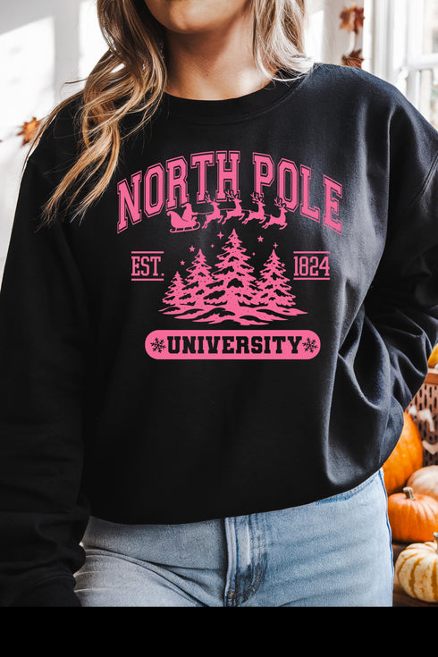 (10-31-25) North Pole Sweatshirt