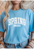 Spring Vibes Graphic Tee