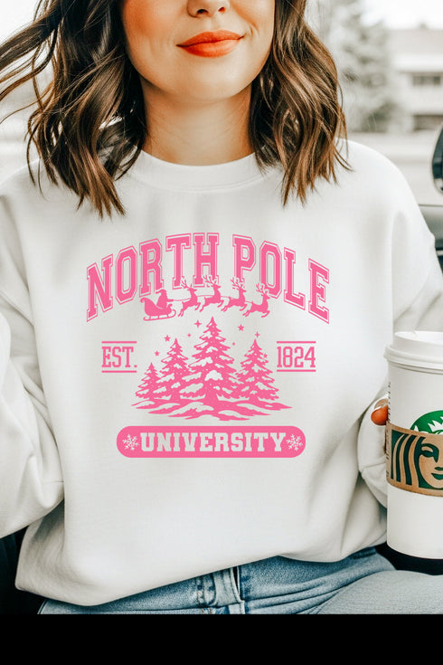(10-31-25) North Pole Sweatshirt